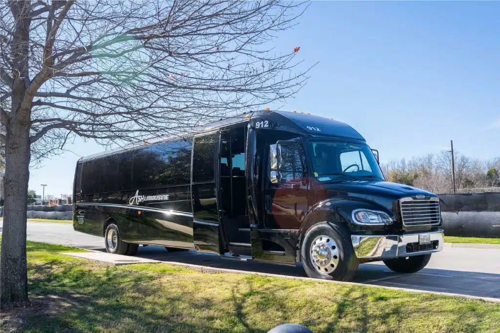 Executive Sprinter Van