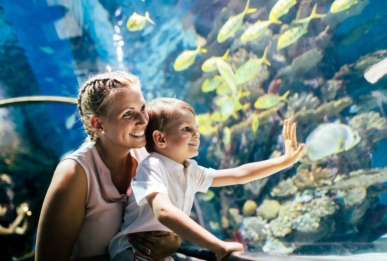 Dallas Bucket List: 9 Things Actually Worth Doing